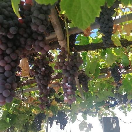 הוילה Puntagorda Casa El Parral מראה חיצוני תמונה